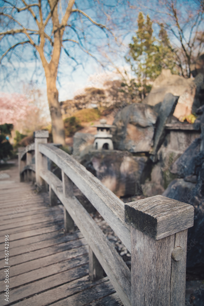 Japanischer Garten  EGA Erfurt Kirschblüte