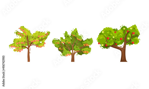 Fruit Trees with Hanging Ripe Apples and Apricots Vector Set