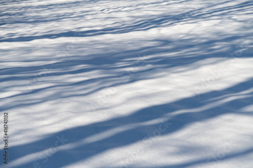 Winter Schnee Wunderland Landschaft Sauerland Kristalle Wolken Schatten Sonne Stimmung Atmosphäre Bäume Silhouetten bedeckt Wiese Kontrast Wellen Deutschland Wintersport Weihnachten Idyll Eis kalt 
