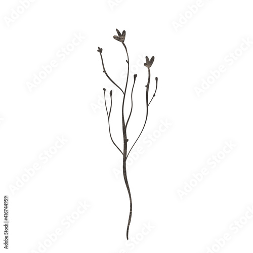 Textural raster floral elements for creating fashion prints, postcard, wedding invitations, banners, floral arrangement illustrations, bouquets. Floral botanical motif on white background.