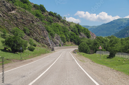 Scenic empty road in sunny summer day. Trip on North Caucasus. Nature and travel. Russia, Karachay–Cherkessia, near Teberda