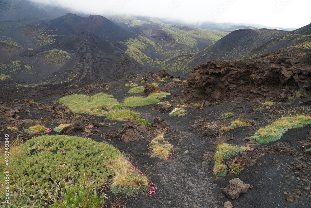 Mount Etna volcanic landscape on side craters with ash, stones and green patches of scrub, guided hiking tour on Etna, Sicily, Italy