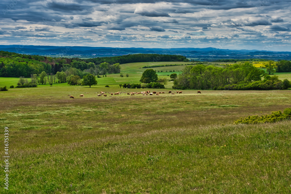 Feld Feld