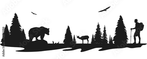 Randonnée dans les Rocheuses,rencontre avec des animaux