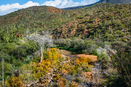 View of Cave Creek at Spur Cross Ranch Conservation Area in Cave Creek, Arizona.