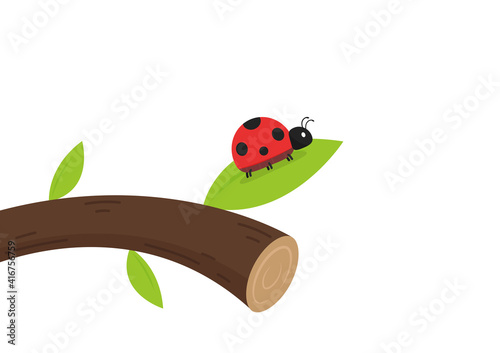 Ladybug on branch. wallpaper. free space for text. background. symbol. ladybug on white background.