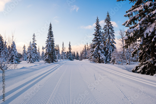 Cross country skiing track photo