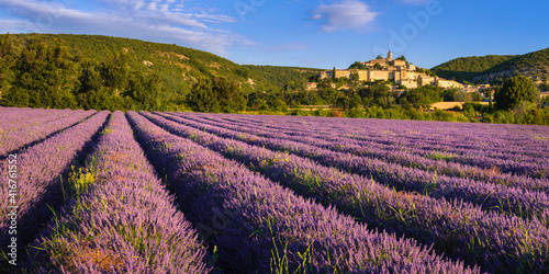 The village of Banon in Provence with lavender fields at sunrise in summer. Alpes-de-Haute-Provence, French Alps, France