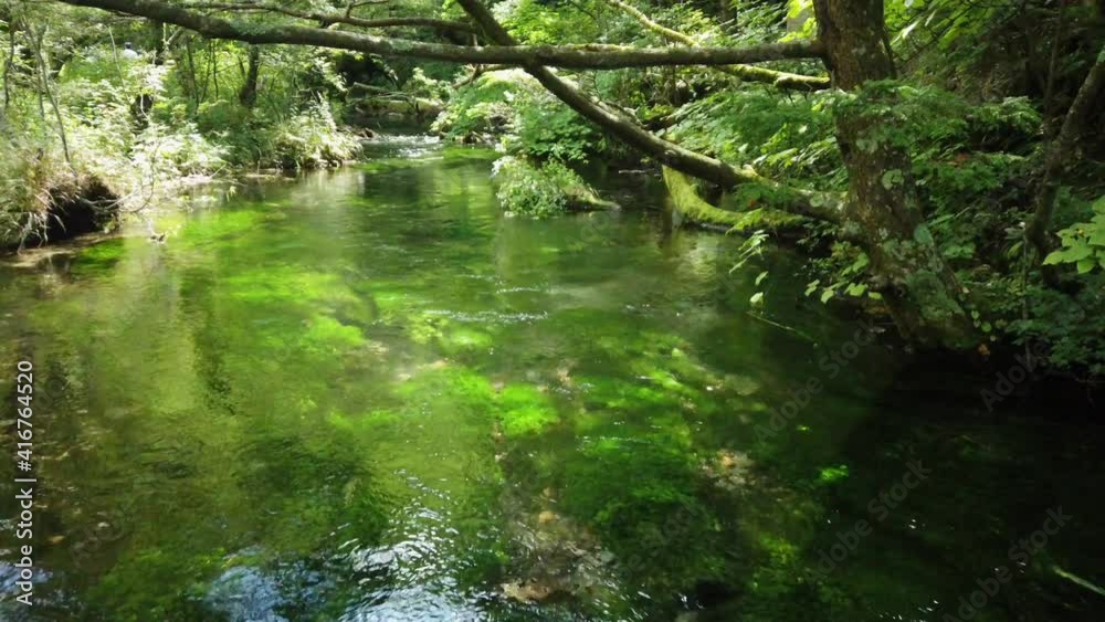 上高地 中部山岳国立公園 長野県 上高地 中部山岳国立公園 長野県