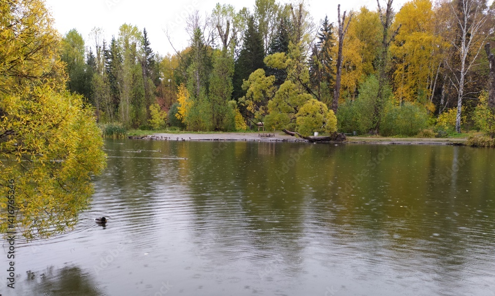 lake in autumn lake in autumn