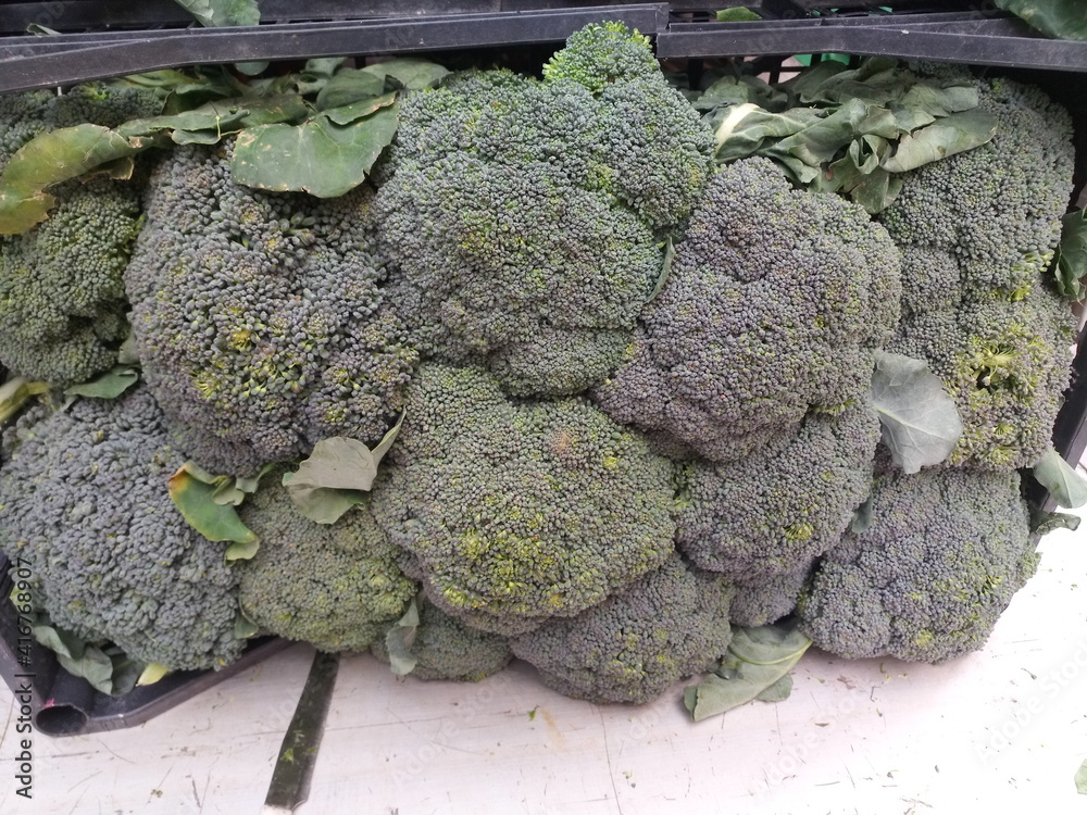 Broccoletti al mercato
