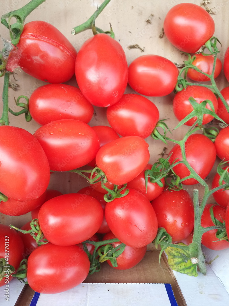Pomodoro Piccadilly, di piccole dimensioni che trae origine dall'antico pomodoro “Vesuviano”, coltivato nel sud Italia. I suoi grappoli contengono dai 15 ai 20 frutti di forma ovale e dal peso di 30-5