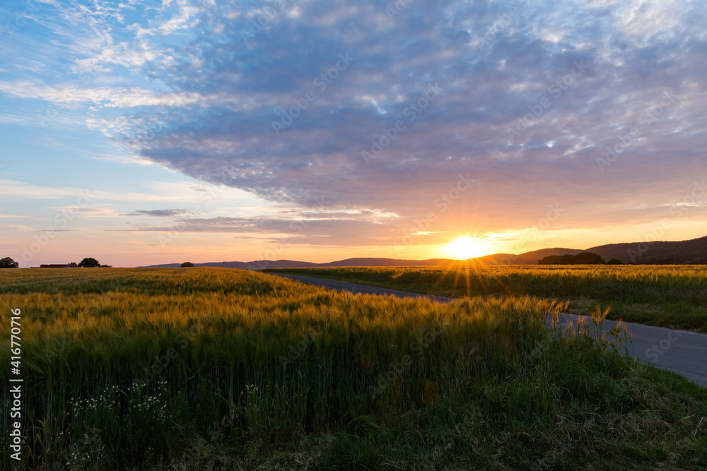 Fototapeta premium Sonnenuntergang über Getreidefeld