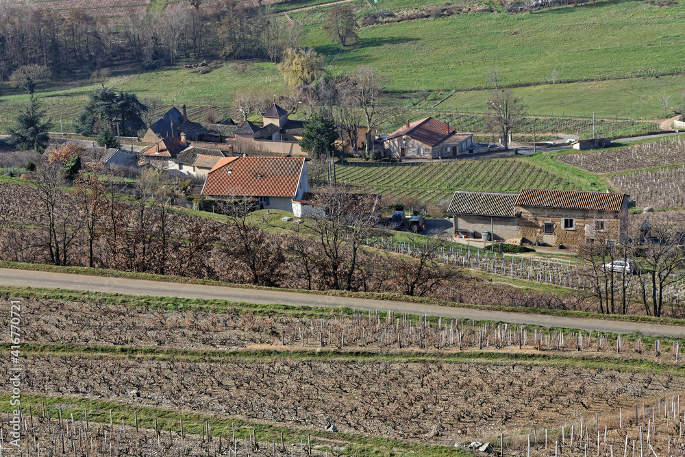 Landscape of vineyards around Brouilly, a famous Beaujolais wine