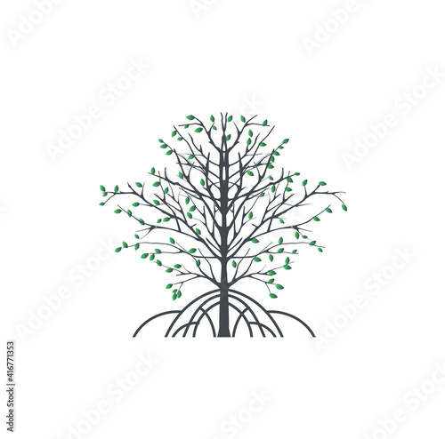 elegant mangrove tree logo with molten leaves vector