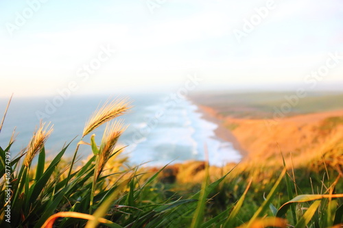 Point Reyes South Beach Overlook