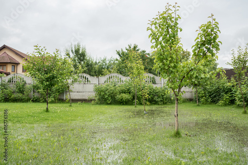 Fototapeta Naklejka Na Ścianę i Meble -  The garden and courtyard are flooded. Consequences of downpour, flood. In the background is a hous. Rainy summer or spring
