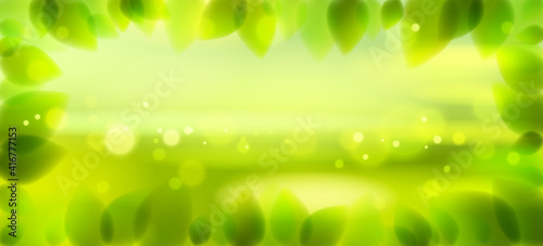 Fresh green leaves and blurred summer nature background beyond, realistic bright vector illustration with copy space for text.