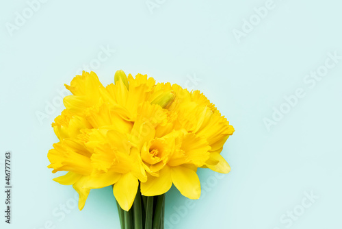 Fototapeta Naklejka Na Ścianę i Meble -  Bouquet of yellow narcissus or daffodil flowers on a blue background. Valentines Day, Mothers day celebration concept.