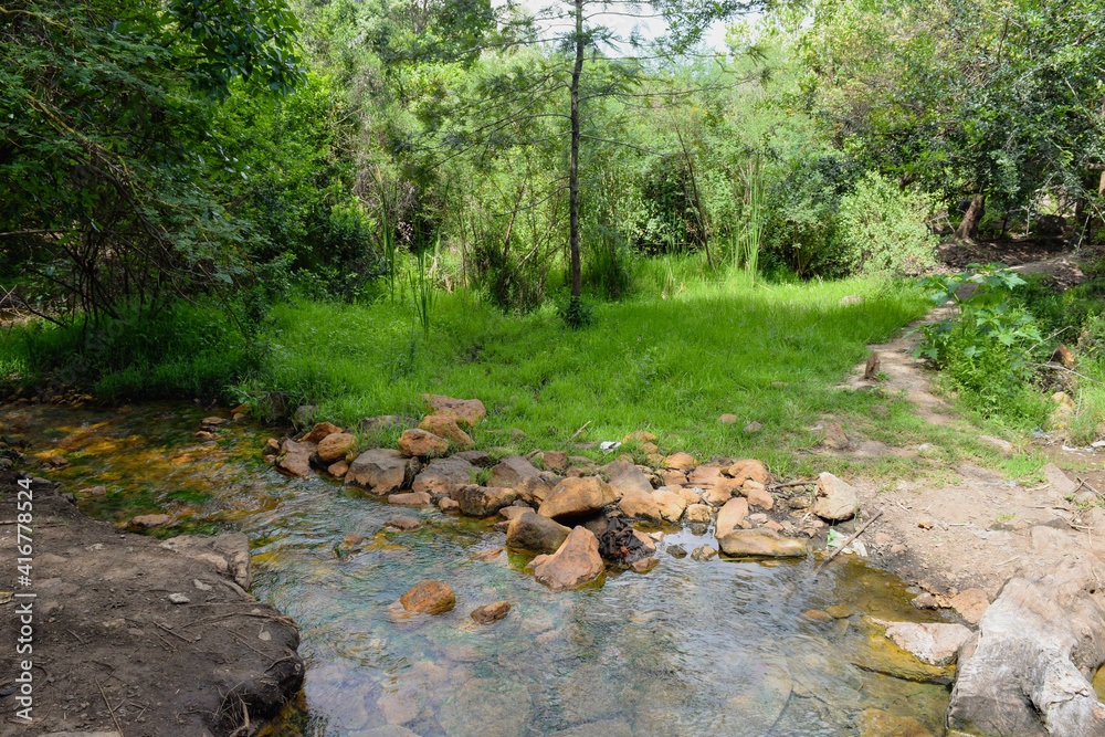 River in the forest in rural Kenya River in the forest in rural Kenya
