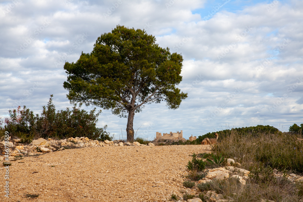 Fototapeta premium Hiking trail landscape in Sierra de Irta National Park Spain