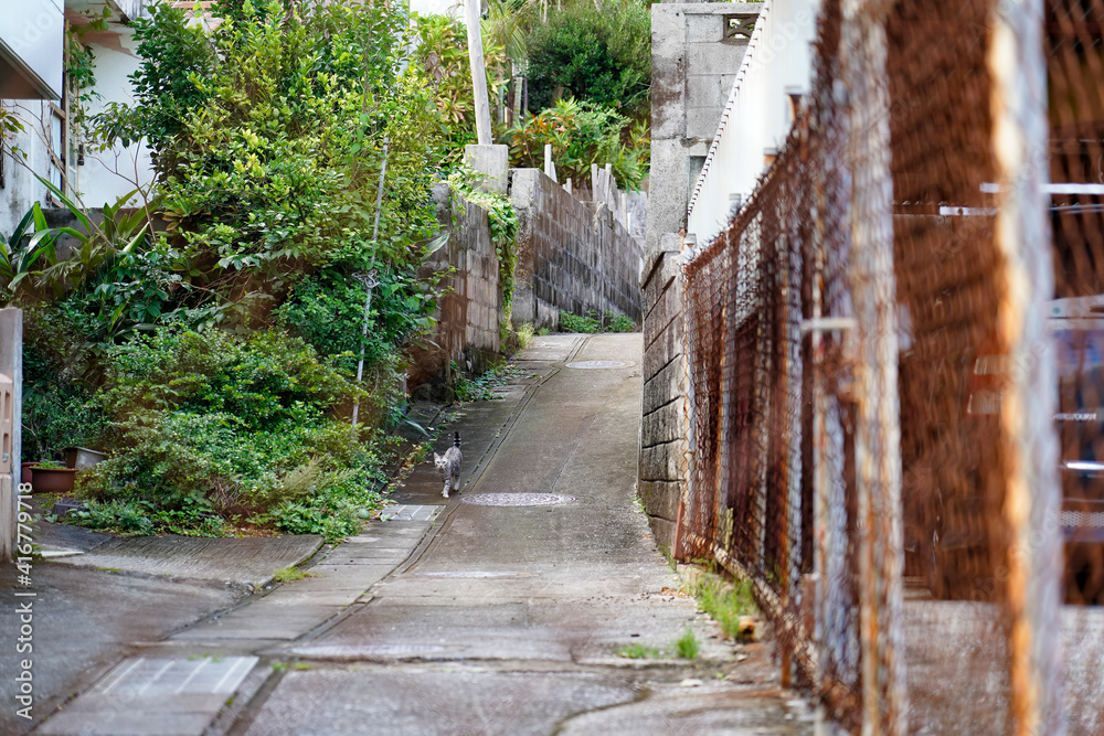 沖縄下町の路地裏