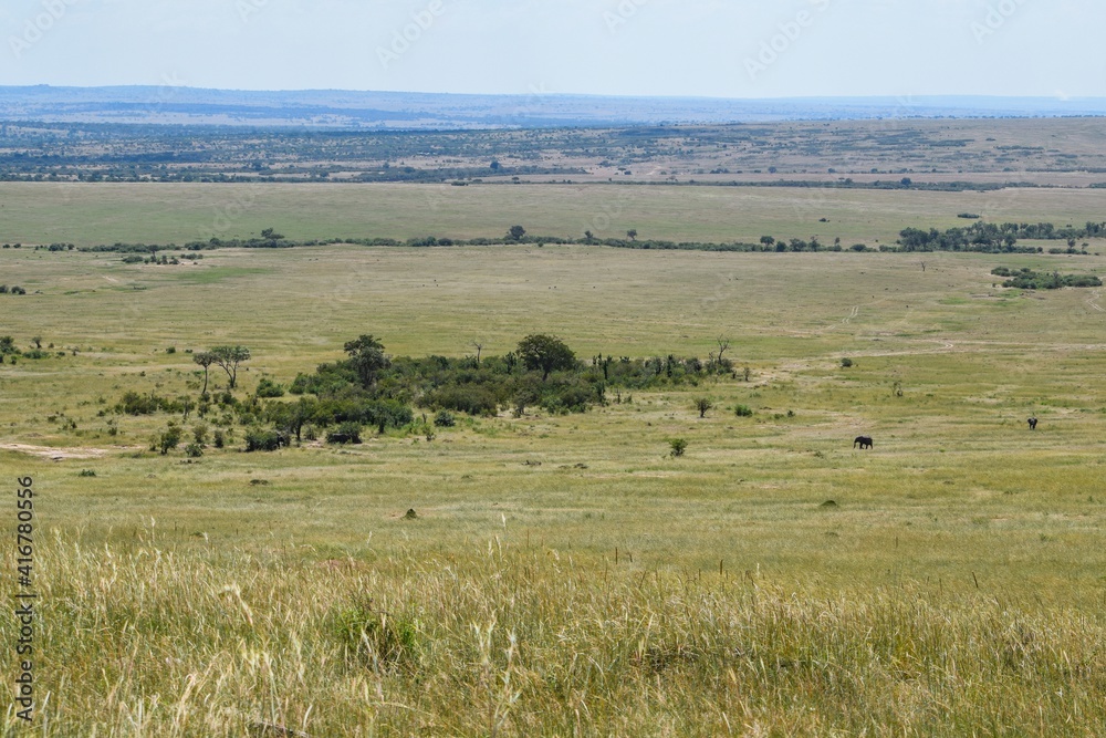 Scenic view of the savannah grassland landscapes in Tsavo National Park, Kenya Scenic view of the savannah grassland landscapes in Tsavo National Park, Kenya