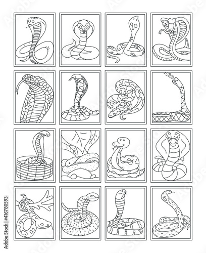 Cobra Snakes Colouring Page Vectors
