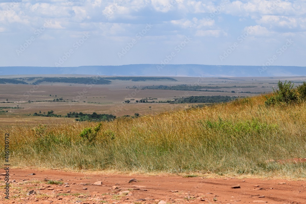 Naklejka premium Scenic view of the savannah grassland landscapes in Tsavo National Park, Kenya