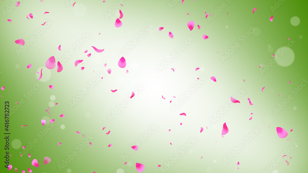 Natural Falling Pink Flower Petals And Circle Bokeh Dust Particles In Gust Of Wind On White And Light Green Gradient Background 3D Illustration