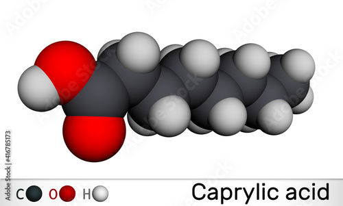 Caprylic acid , octanoic acid  molecule. It is straight-chain saturated fatty and carboxylic acid. Salts are known as octanoates or caprylates. Molecular model. 3D rendering photo