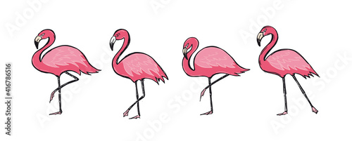 Pink flamingos, hand drawn style, vector illustrations.