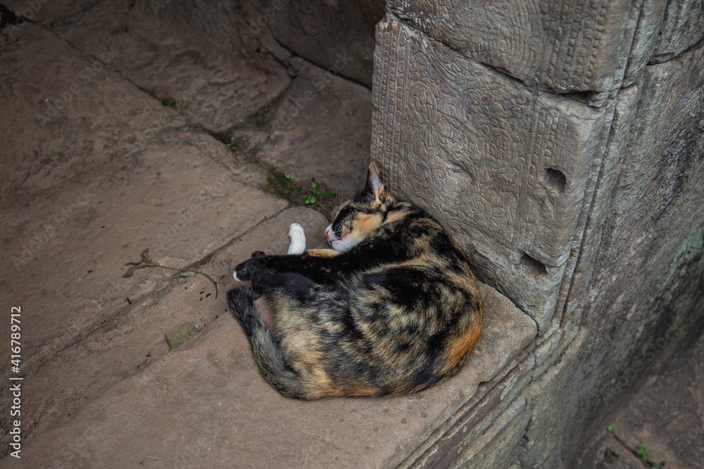 Obraz premium Travel through Cambodia at the temple complex.