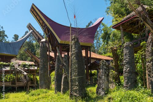 Tongkonan pavilions for funeral celebrations and sepulchral steles on a graveyard in the region Tana Toraja on Sulawesi in Indonesia. Each monolith memorialises a particular deceased person photo