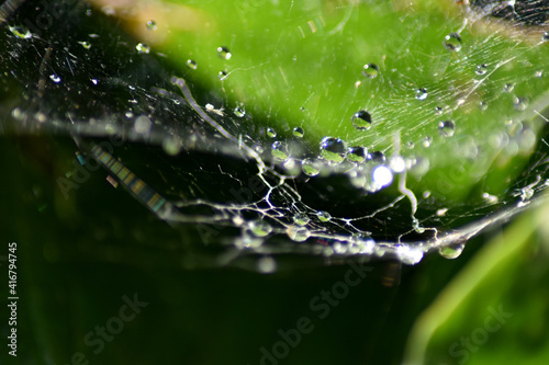 Wassertropfen Tau auf Spinnenetz