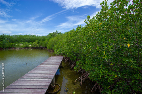 Wooden bridge over the mangrove forest, Samae San Island