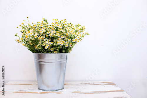 Bouquet of white chamomile in a vase or steel bucket