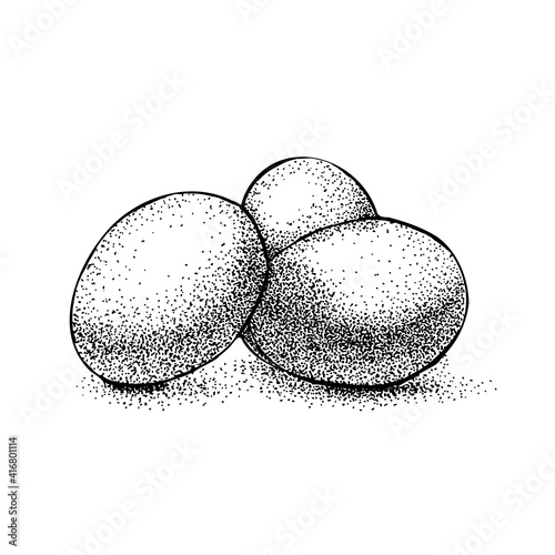 three eggs vintage engraving. black ink isolated