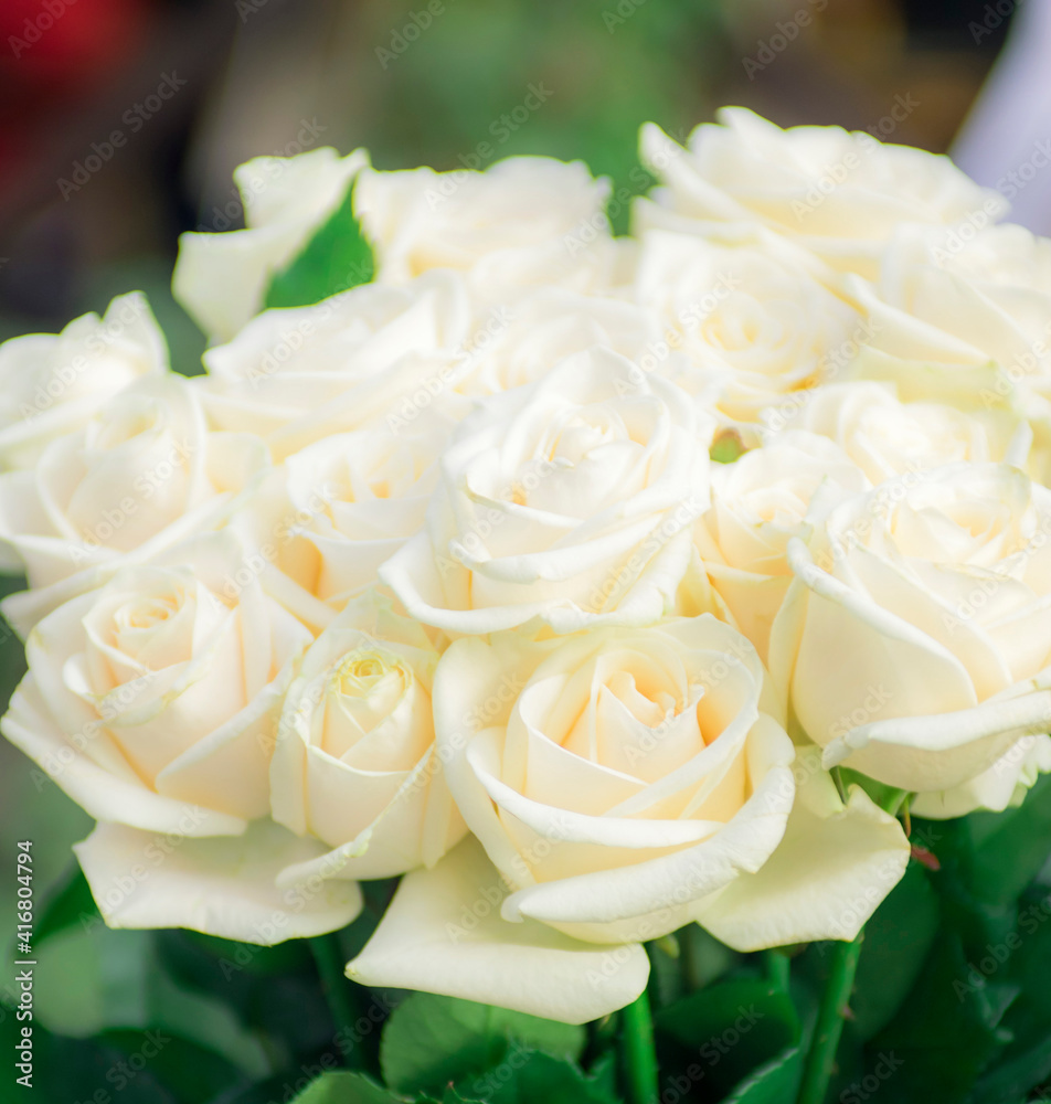 Obraz premium Lush white roses. Wedding bridal bouquet. Flowers for beloved