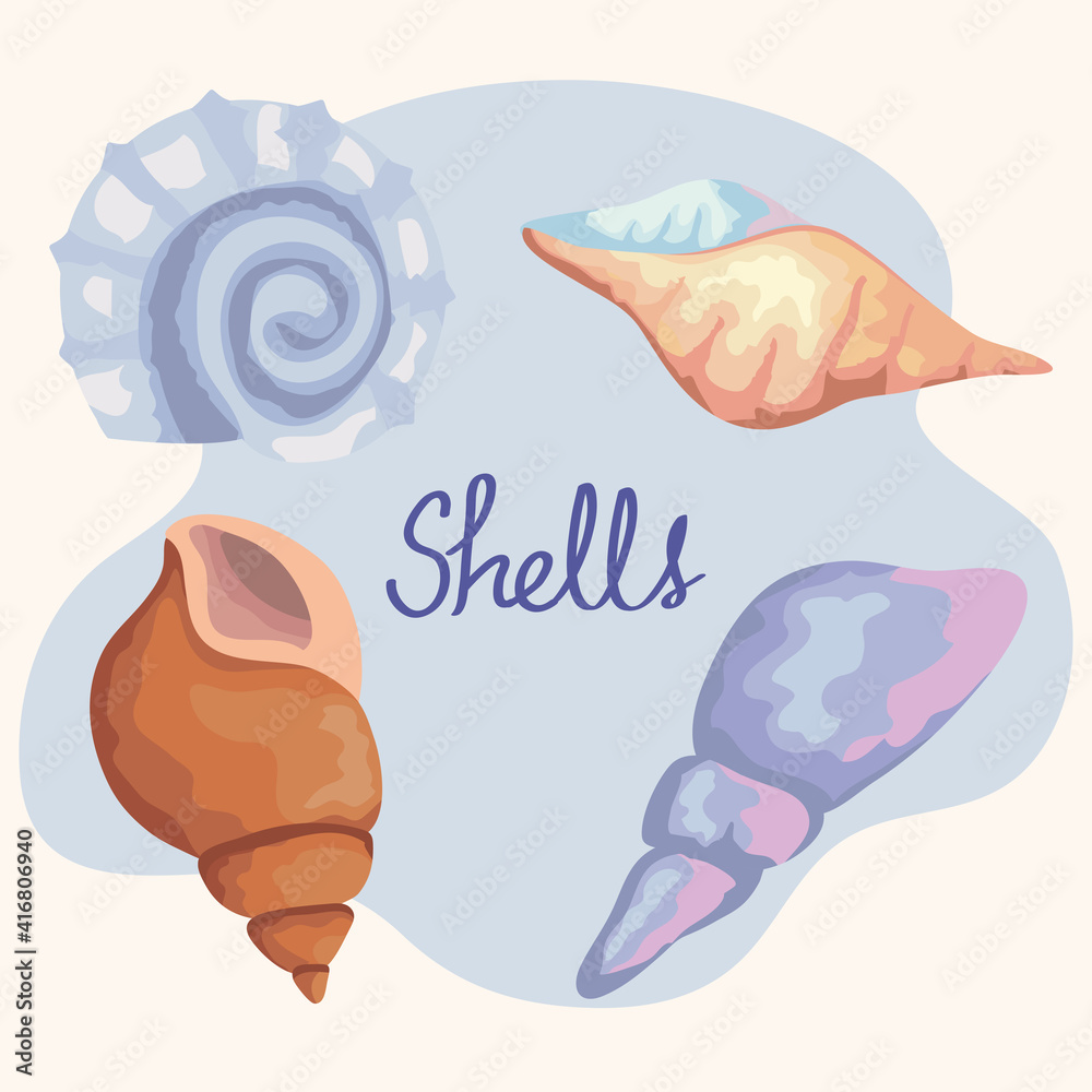 bundle of four sea shells colors set icons and lettering vector illustration design