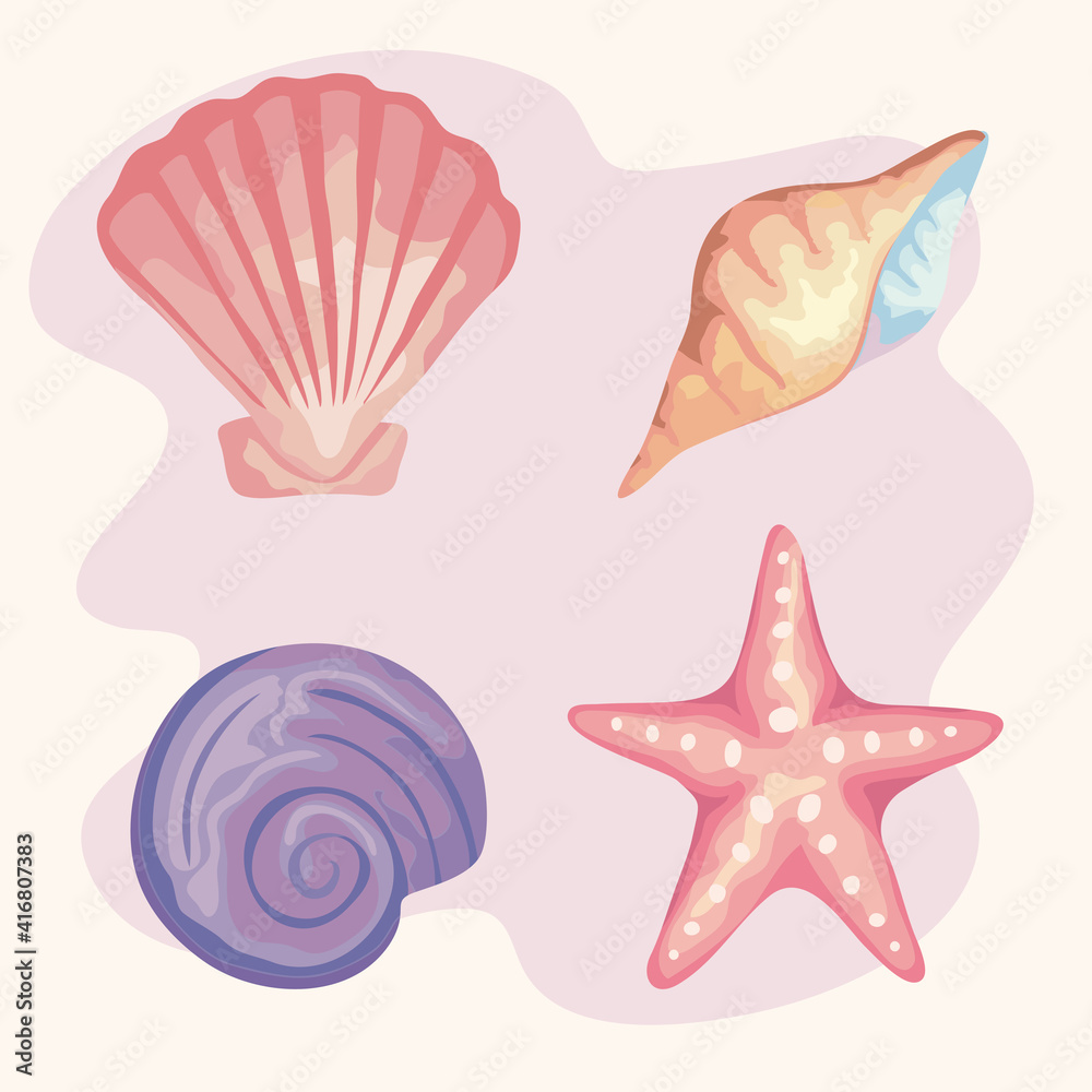 bundle of four sea shells colors set icons vector illustration design