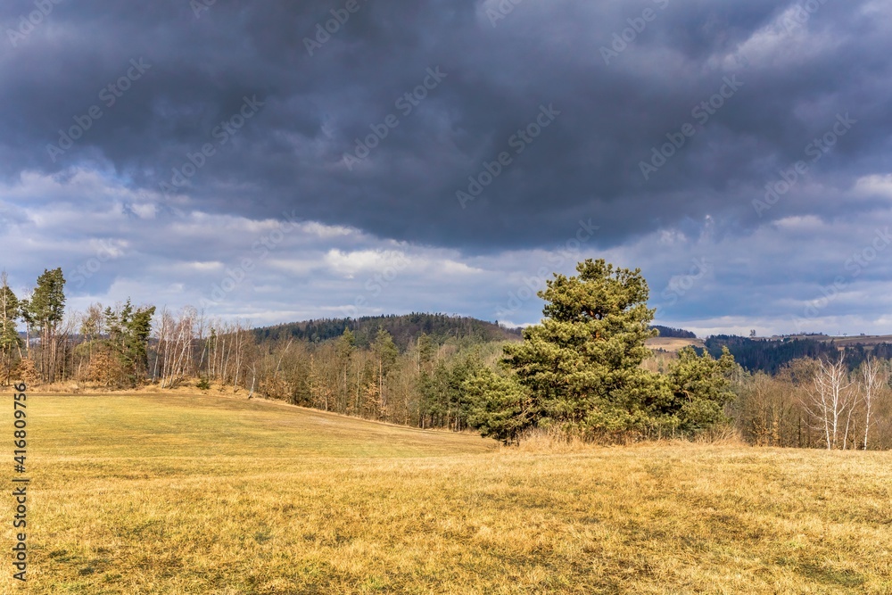 Stormy day with rain, fall colors and dark clouds in Czech Republic. Pasture with pine in the foreground. Cloudy sky.