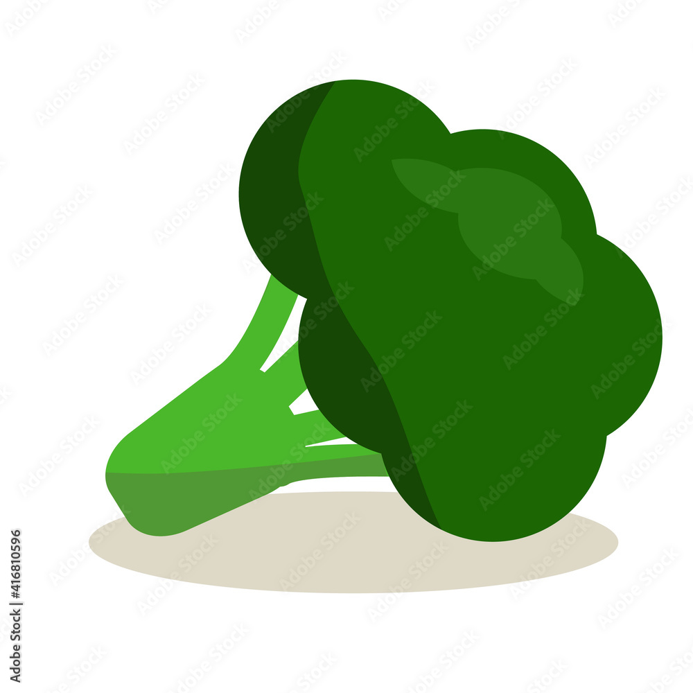Fresh broccoli.isolated on a white background, used for magazine, book, poster, map, menu cover, web pages, broccoli bundle Fresh broccoli.isolated on a white background, used for magazine, book, poster, map, menu cover, web pages, broccoli bundle
