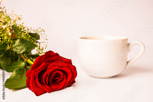 rosa rossa e tazza bianca