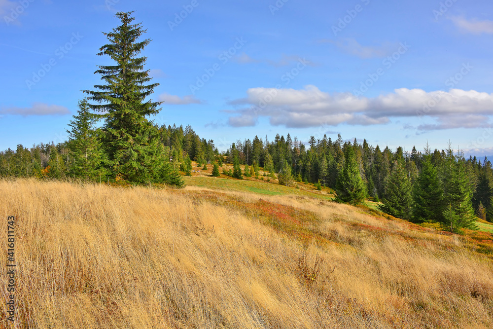 Autumn landscape in the mountains, Gorce, Poland Autumn landscape in the mountains, Gorce, Poland