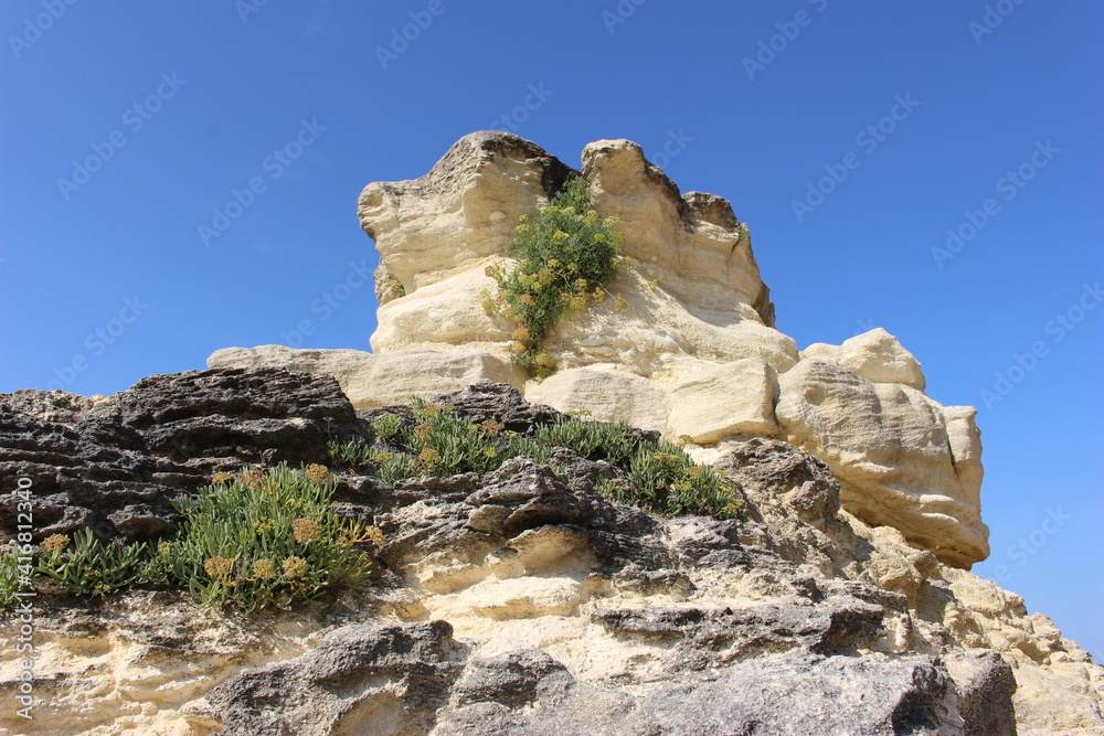 Rocher blanc et végétation, plage du Platin, Saint-Palais-sur-Mer