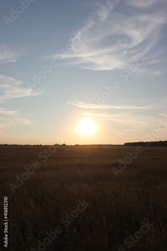 sunset in the field