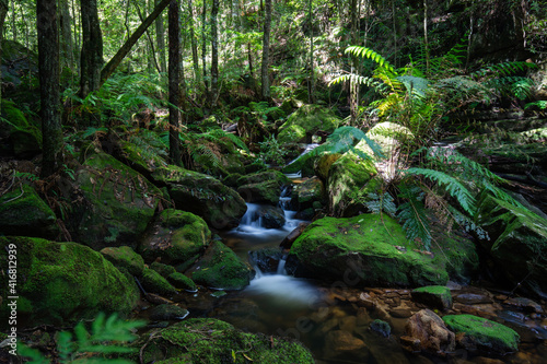 Green rocky moss with small creek in the middle.