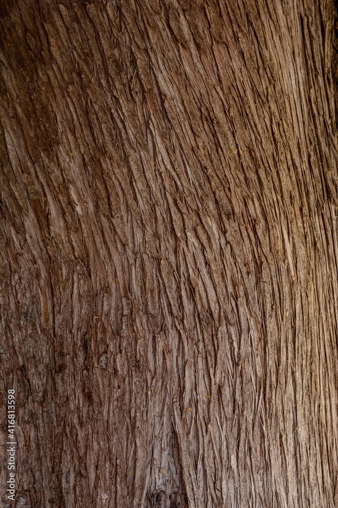 texture texture