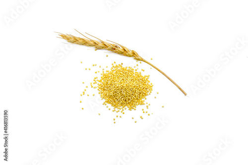Yellow millet isolated on white background.